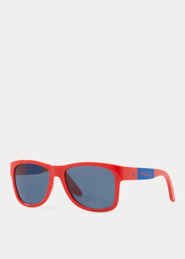 Men's Polo Ralph Lauren Color-Blocked Sunglasses | 923716GKE